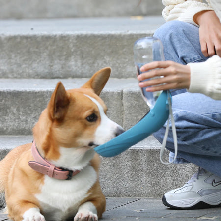 Gourde portable de 550 ml pour chien et chat