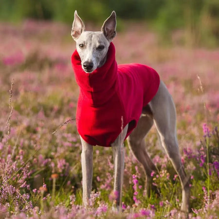 Manteau d'hiver en polaire douce à col roulé pour chien